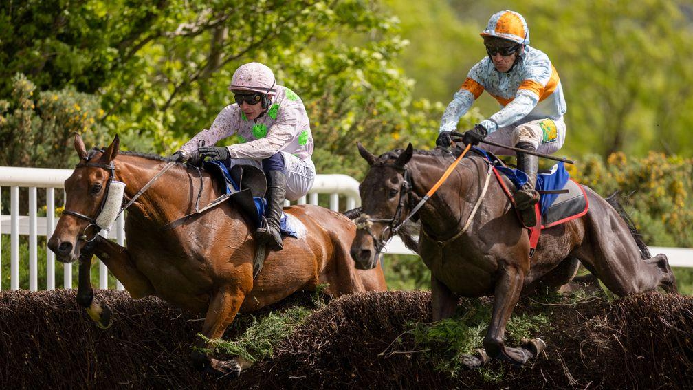 Vina Ardanza (right) and Saldier jump a fence together at Killarney on Sunday