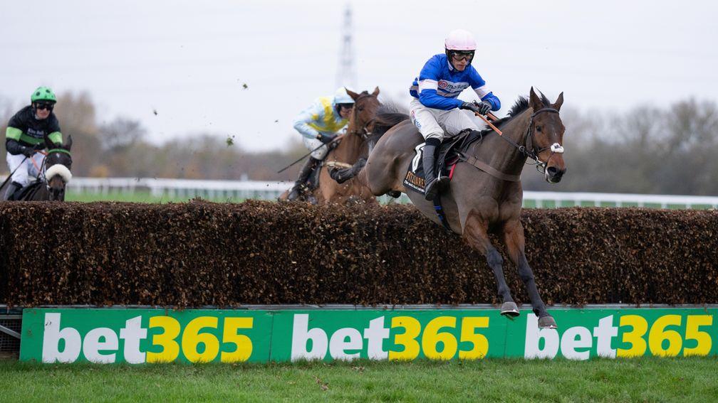 Pic D'Orhy: heading to Aintree
