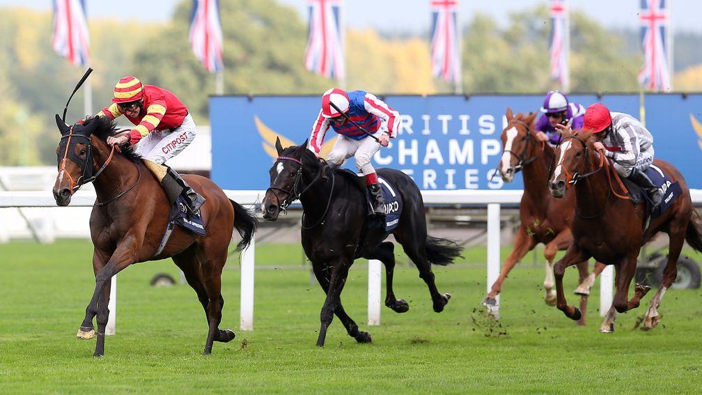 Qipco British Champions Fillies & Mares Stakes at Ascot, 2013: George Baker enjoys a breakthrough first Group 1 win on Seal Of Approval