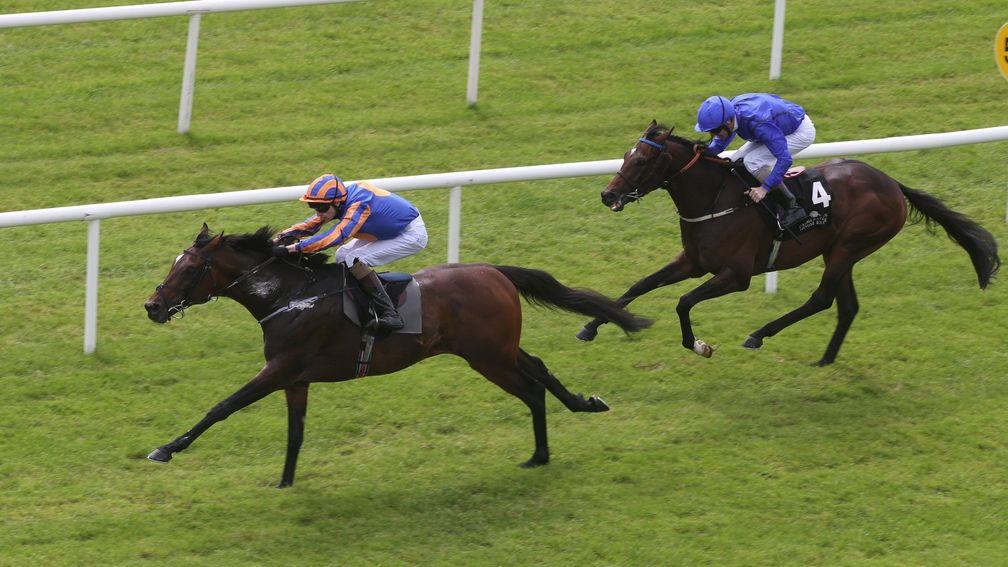 Order Of St George: Ascot Gold Cup winner beat Twilight Payment in the Irish St Leger Trial last year