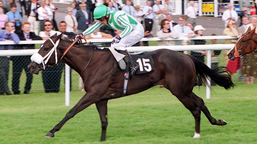 Swiss Lake: classy sprinter has an exemplary record as a broodmare
