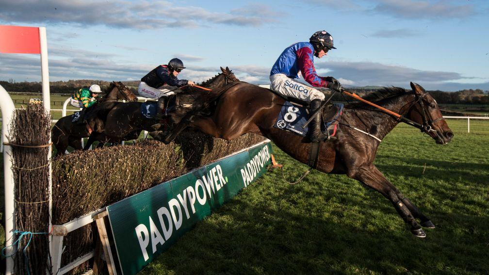 Discorama has top weight in the Ladbrokes Troytown Handicap Chase on Sunday