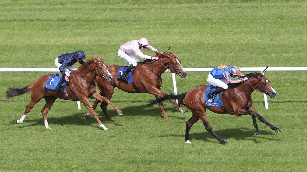 Blenheim Palace (pink) goes up 20lb for his second in the Derrinstown Derby Trial