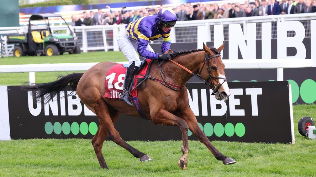 Corach Rambler: runs in the Coral Gold Cup on Saturday