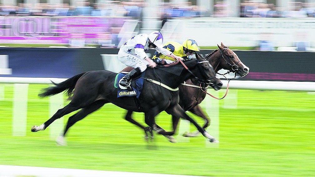 Time To Study (yellow) beats Byron Flyer in the MallardDoncaster 15.9.17 Pic: Edward Whitaker