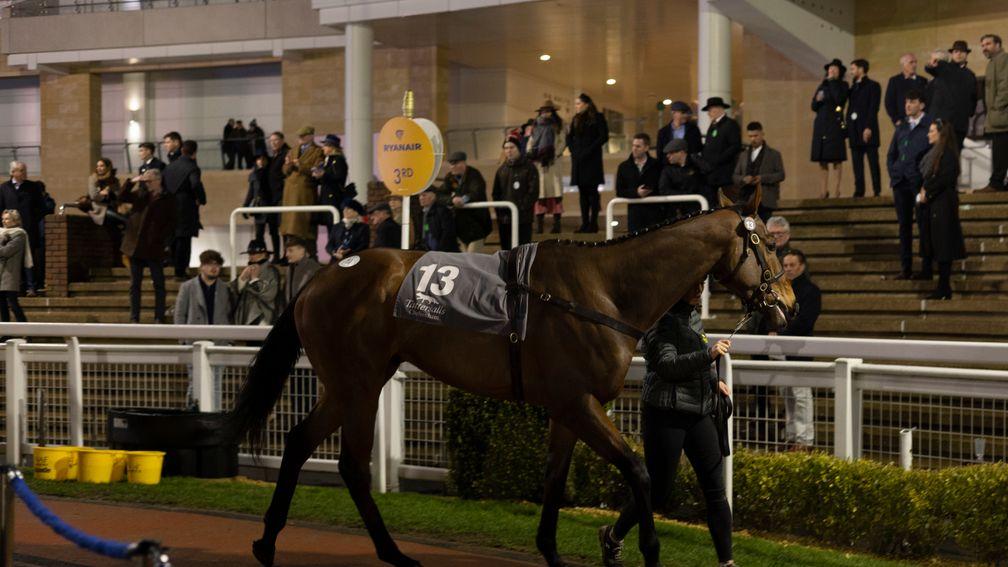 Jalon d'Oudairies, also knocked down for £420,000 to the Elliott team