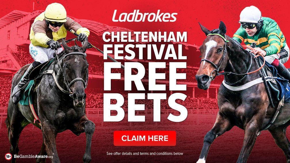 cheltenham free bets