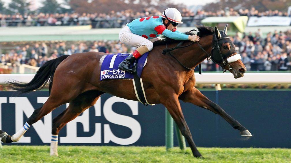 Almond Eye and Christophe Lemaire stretch out to Japan Cup glory in 2018