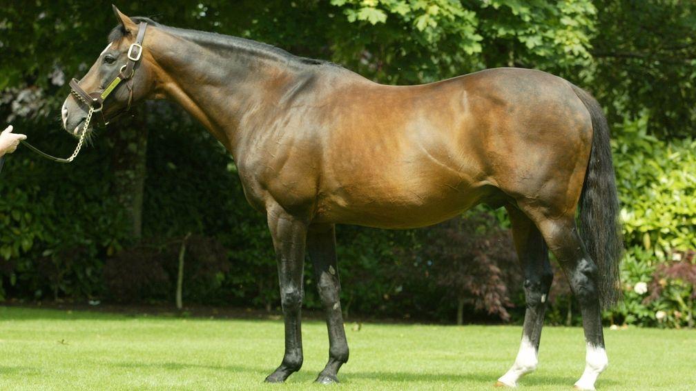 Sadler's Wells: set records that seemed invulnerable until his son Galileo came along