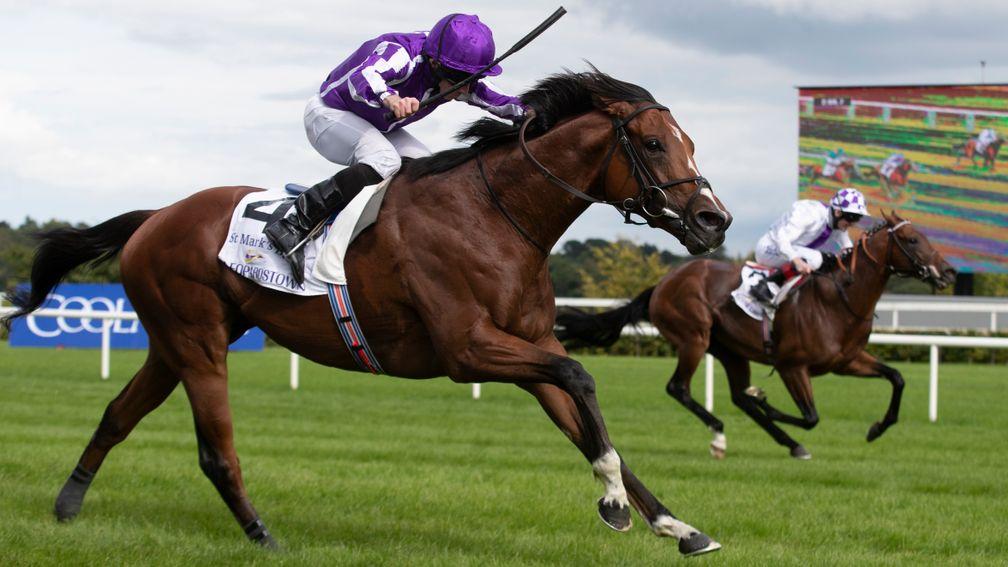 St Markâs Basilica ridden by Ryan Moore wins the Irish Champion Stakes (Group 1).Leopardstown Racecourse.Photo: Patrick McCann/Racing Post11.09.2021