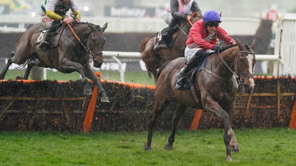 CHELTENHAM, ENGLAND - MARCH 16: Paul Townend riding Sir Gerhard (red) clear the last to win The Ballymore Novices' Hurdle on day two of The Festival at Cheltenham Racecourse on March 16, 2022 in Cheltenham, England. (Photo by Alan Crowhurst/Getty Images)