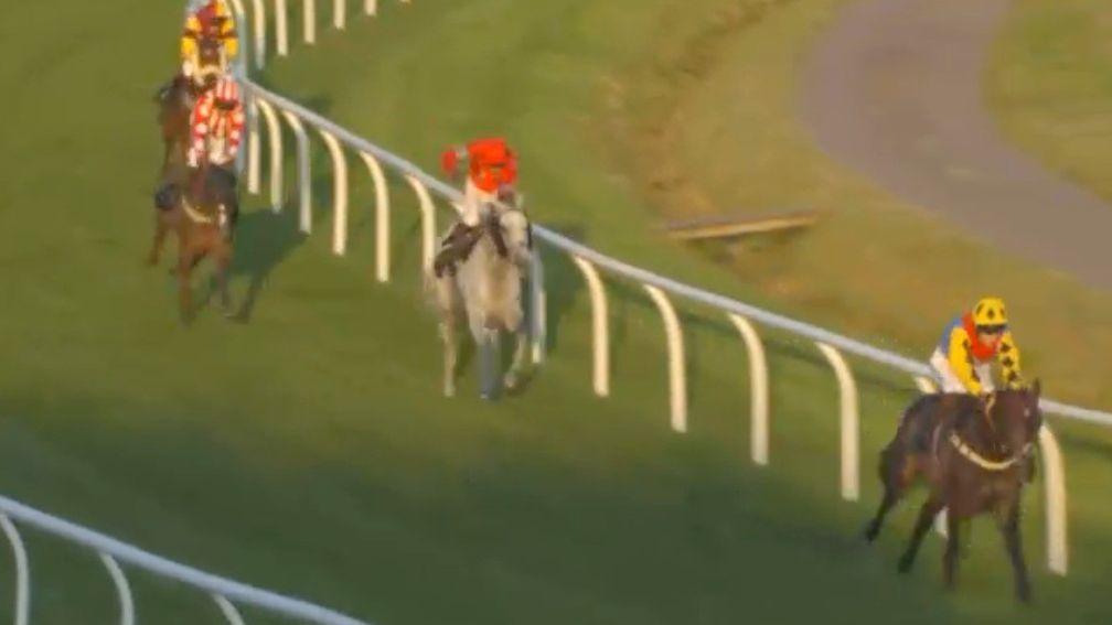 My Lady Grey looked well beaten heading to the second last (Sky Sports Racing)
