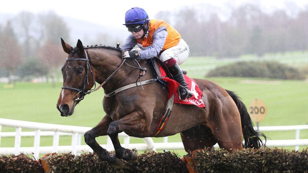 Captain Cody's promise has taken him all the way through to Grade 2 level over hurdles






