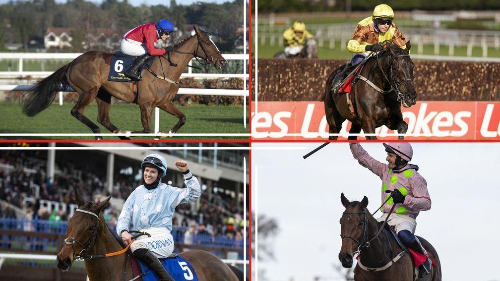 Four of the odds-on winners at Leopardstown on Sunday - Sir Gerhard (clockwise), Galopin Des Champs, Chacun Pour Soi and Honeysuckle