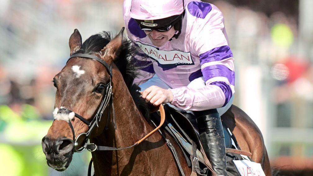 Zarkandar: Long Distance Hurdle at Newbury is a possible starting point