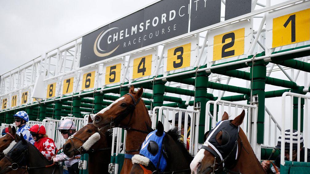 Runners at Chelmsford