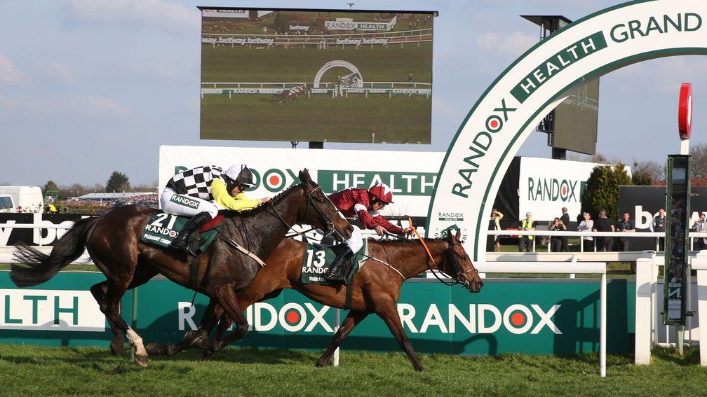 Pleasant Company (near): Grand National runner-up is one of eight runners for Willie Mullins