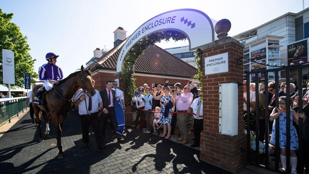 Getting a shot of the new champ: racegoers get a close-up glimpse of Saxon Warrior as the son of Deep Impact is led back into the winner's enclosure