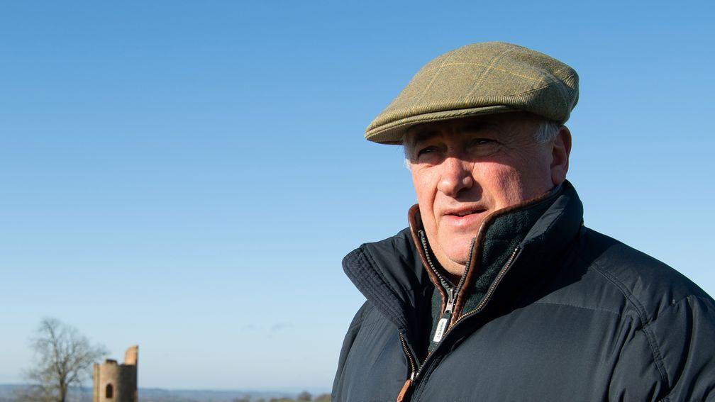 Paul Nicholls: has given the Irish trainers a taste of their own medicine after Cheltenham