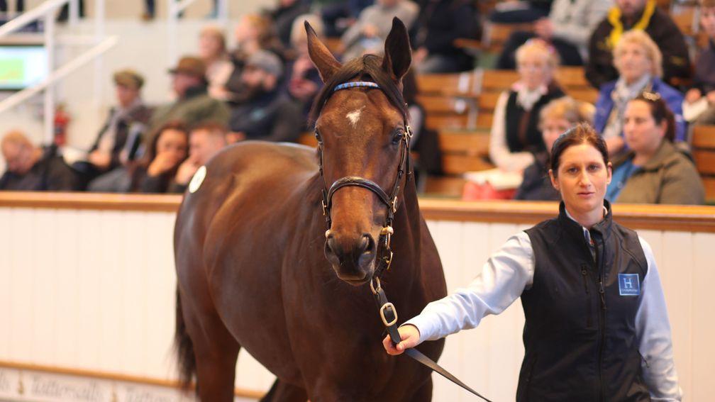 Lot 148, a bay colt by Dubawi, was sold to Godolphin at Tattersalls