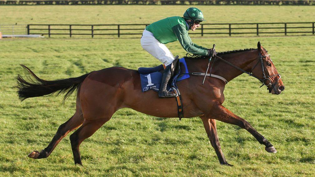 Blue Lord: favourite for the Irish Arkle Novice Chase on Saturday