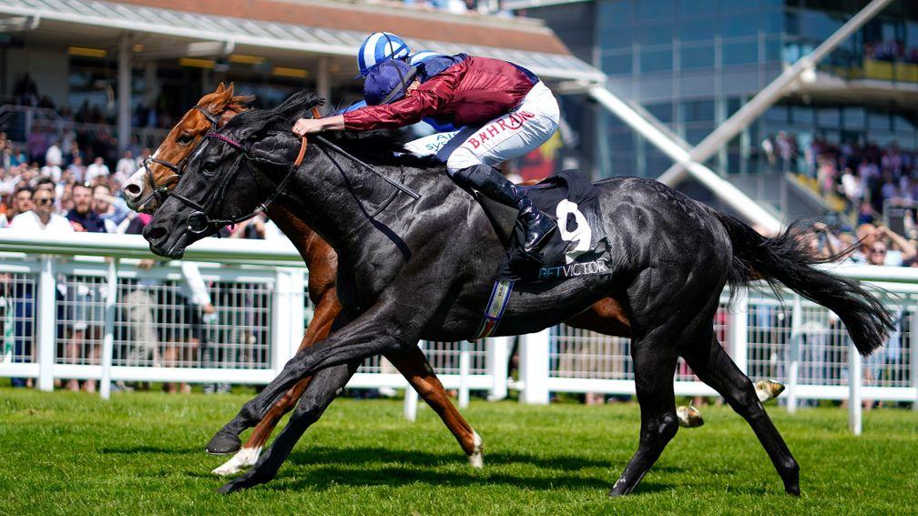 Tiber Flow (near): set for Hungerford Stakes at Newbury on Saturday