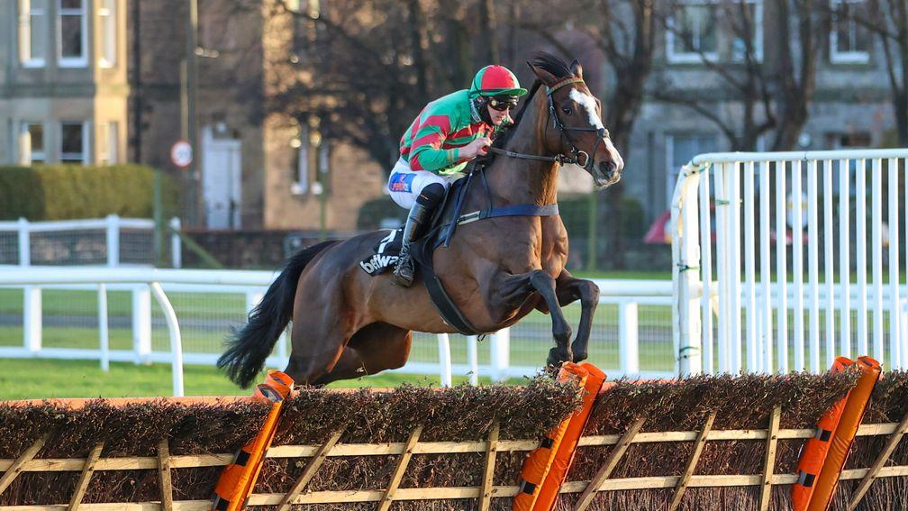 Tommy's Oscar: takes in the Grade 1 hurdle rather than a 2m novice chase at Carlisle on Sunday