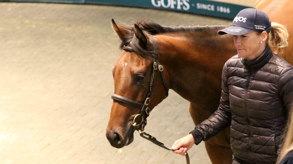 Lot 29: the Kingman filly out of Finsceal Beo brings €500,000 from Johnny Murtagh