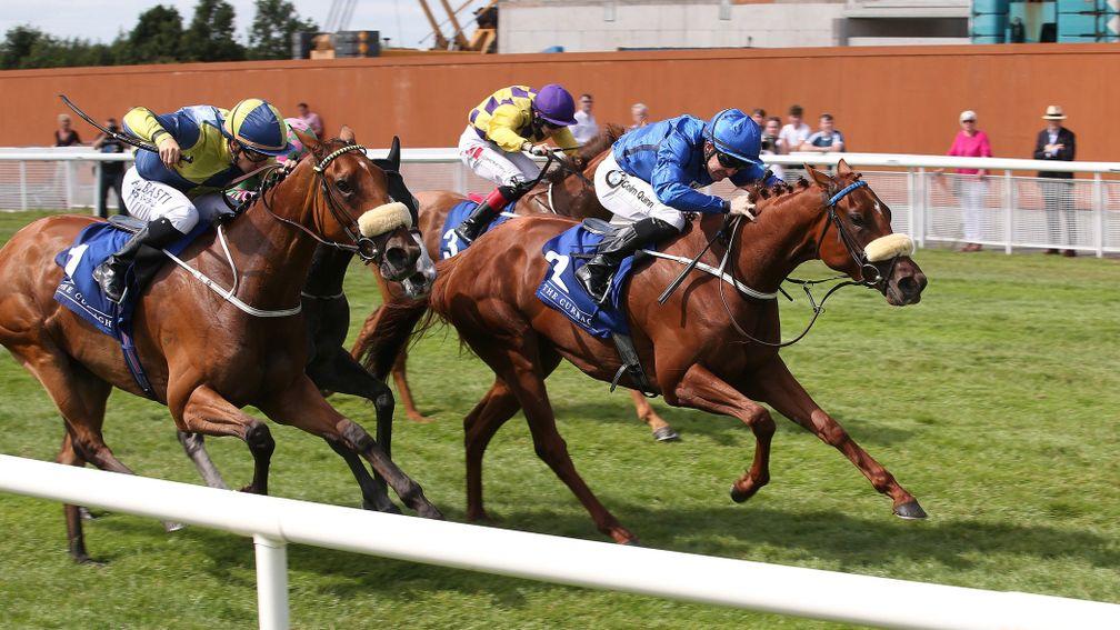 Terzetto scored in a handicap at the Curragh last July