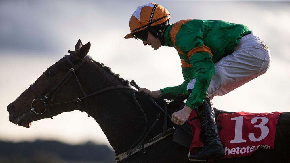 Royal Illusion and Joey Sheridan pull over eight lengths clear of the Irish Cesarewitch