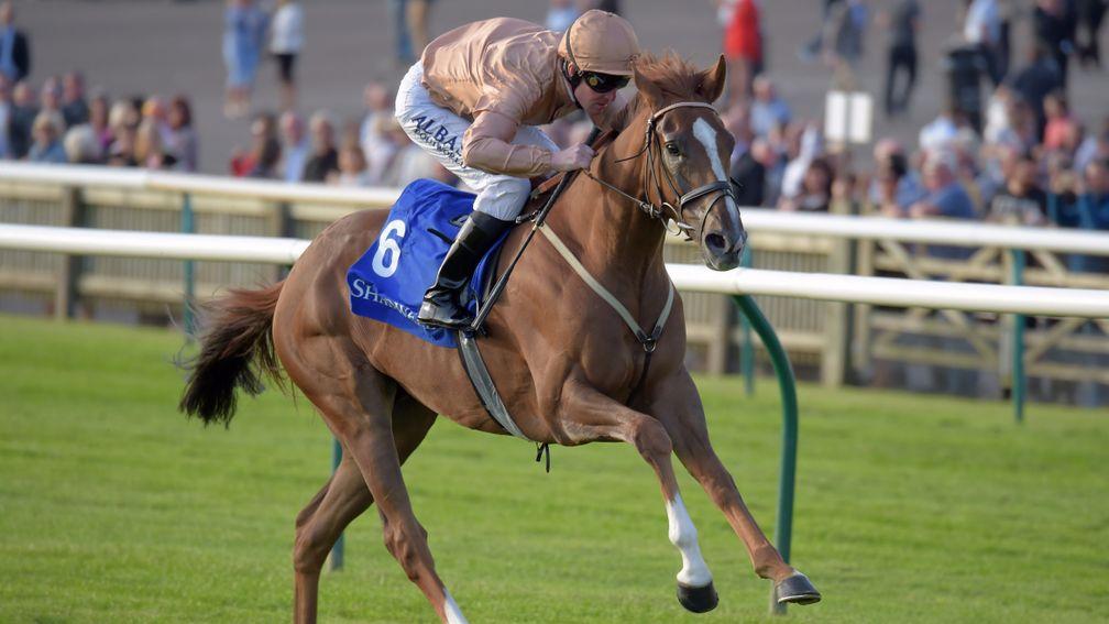 Dal Harraild: had been second favourite for the Goodwood Cup
