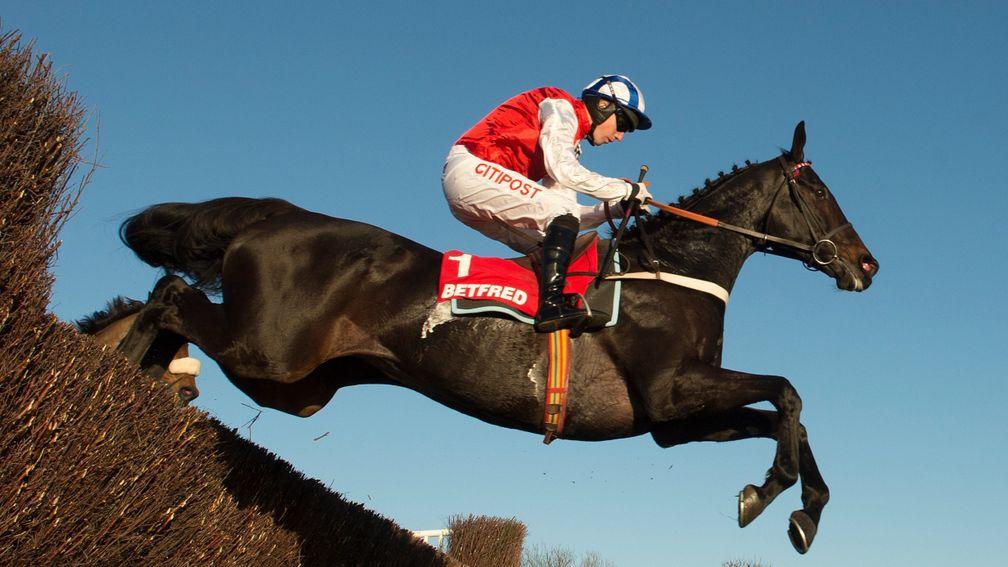 Josses Hill: won the Peterborough Chase last year