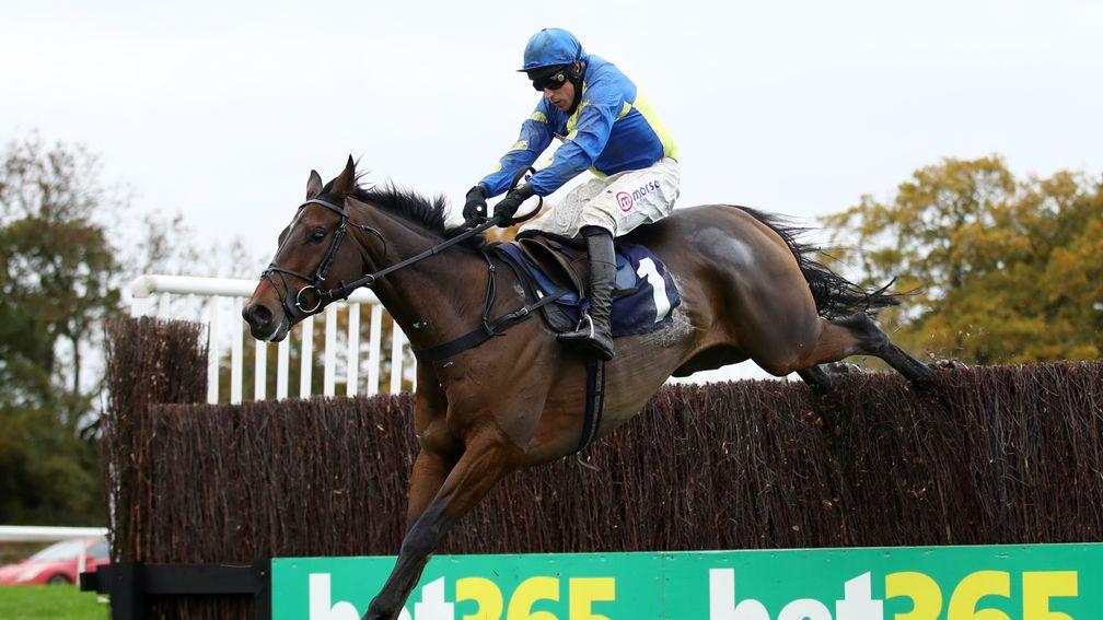 Shan Blue: favourite for the Kauto Star Novices' Chase