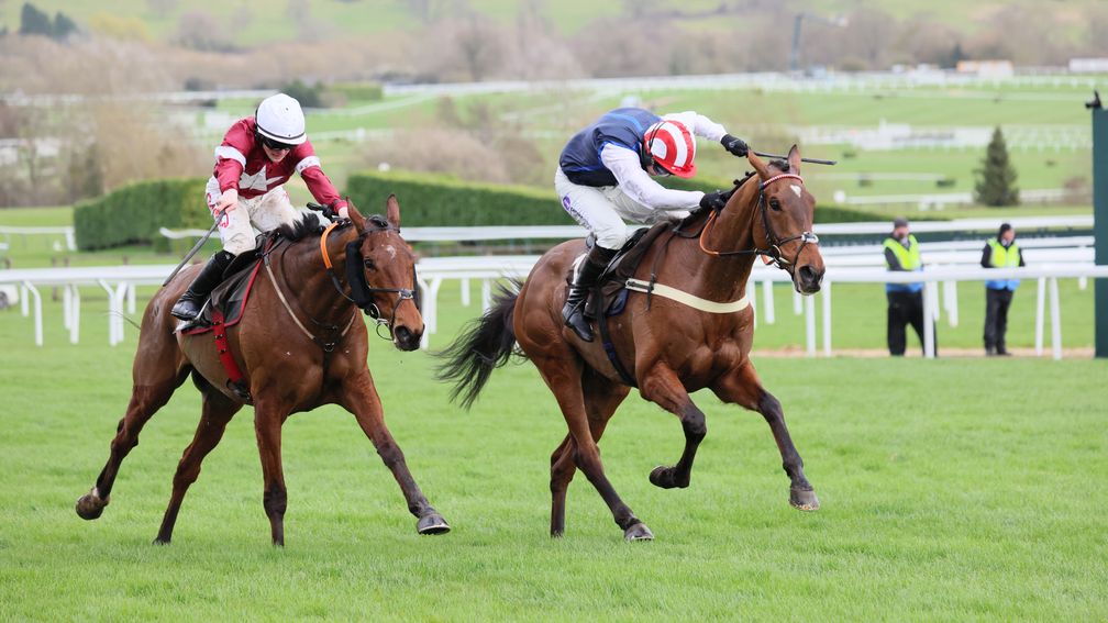 Stellar Story (left) ridden by Sam Ewing wins the Albert Bartlett from The Jukebox Man