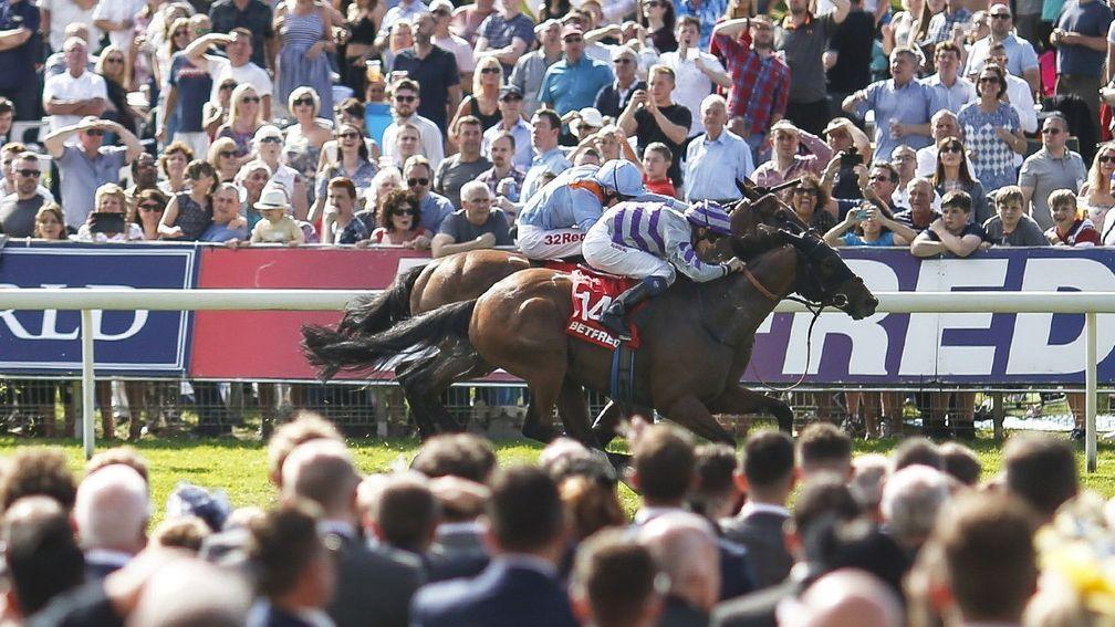 Nakeeta: Bids to become first back-to-back winner of the Ebor since 1923