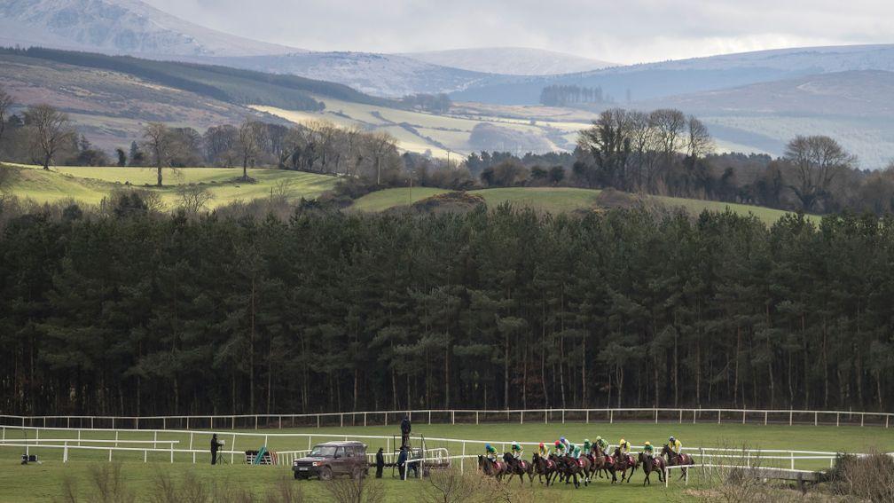 Patrick McCann's stunning picture perfectly captures the glorious backdrop at Punchestown