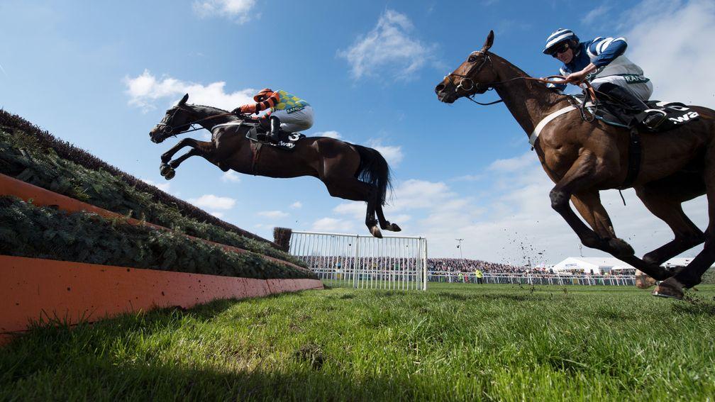 Might Bite puts in a magnificent jump at the last fence in the Mildmay Novices' Chase at Aintree