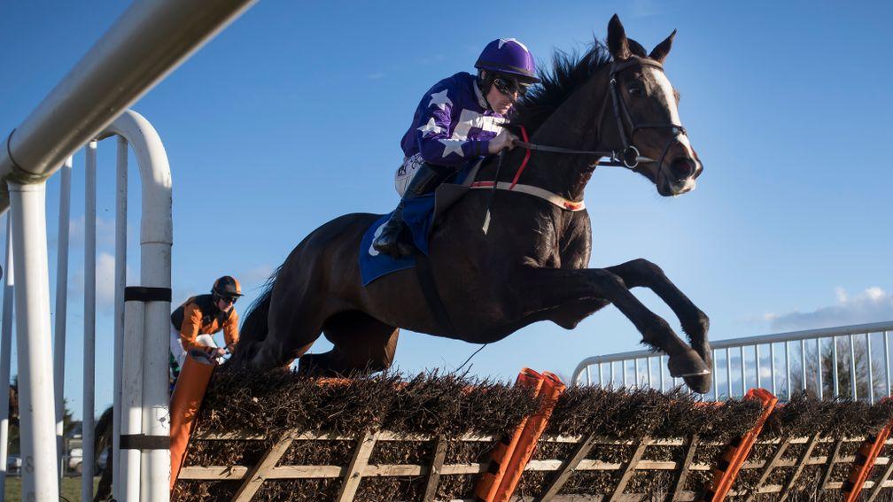 Mary Frances: will give 110 per cent at Thurles according to her trainer Martin Hassett