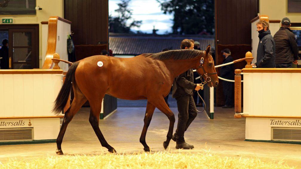 Lot 174: the Kingman half-brother to Galileo Gold sells to Oliver St Lawrence for 2,700,000gns