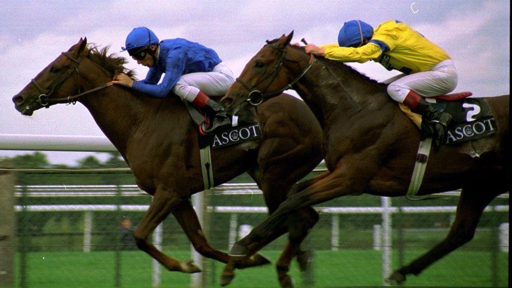 One down, six to go: Wall Street beats Salmon Ladder in the Cumberland Lodge Stakes at Ascot in 1996 to kick of Frankie Dettori's Magnificent Seven
