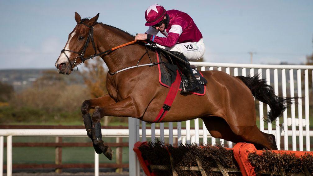 Farouk D'Alene: the hugely exciting novice hurdler puts his unbeaten record on the line at Navan