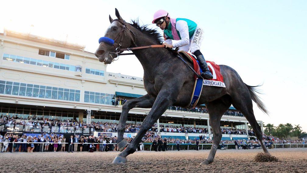 Khalid Abdullah's superstar Arrogate is back in action this weekend