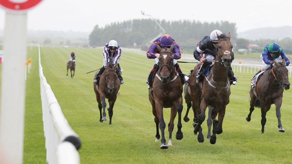 Rekindling (second right) wears down Wicklow Brave in the Curragh Cup