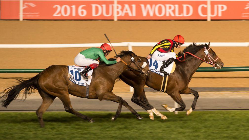 Euro Charline chases home Real Steel in the Group 1 Dubai Turf