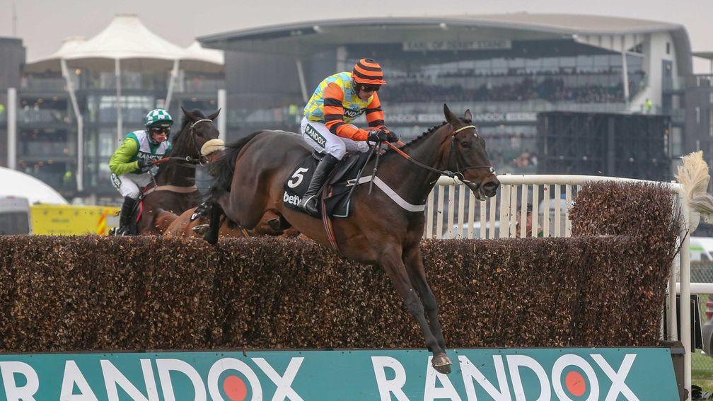 Might Bite: back in action in the Betfair Chase on Saturday