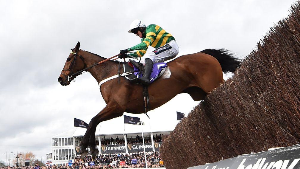 CHELTENHAM, ENGLAND - MARCH 11: Champ ridden by Barry Geraghty on the way to winning the RSA Insurance Novices' Chase (Grade 1) at Cheltenham Racecourse on March 11, 2020 in Cheltenham, England. (Photo by Dan Mullan/Getty Images)