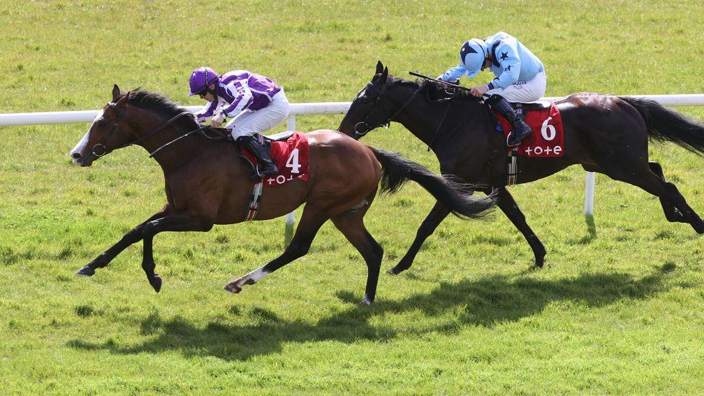 Point Lonsdale (left): back to winning ways at the Curragh last time out