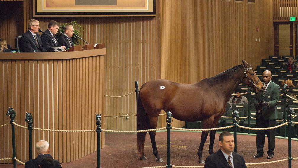Oh Mrs. G: one of two mares to bring $125,000 during the third session of the Keeneland January Sale
