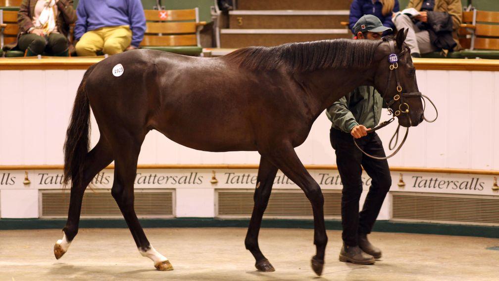Lot 1,923: the Authorized colt sells to Alex Elliott for 90,000gns