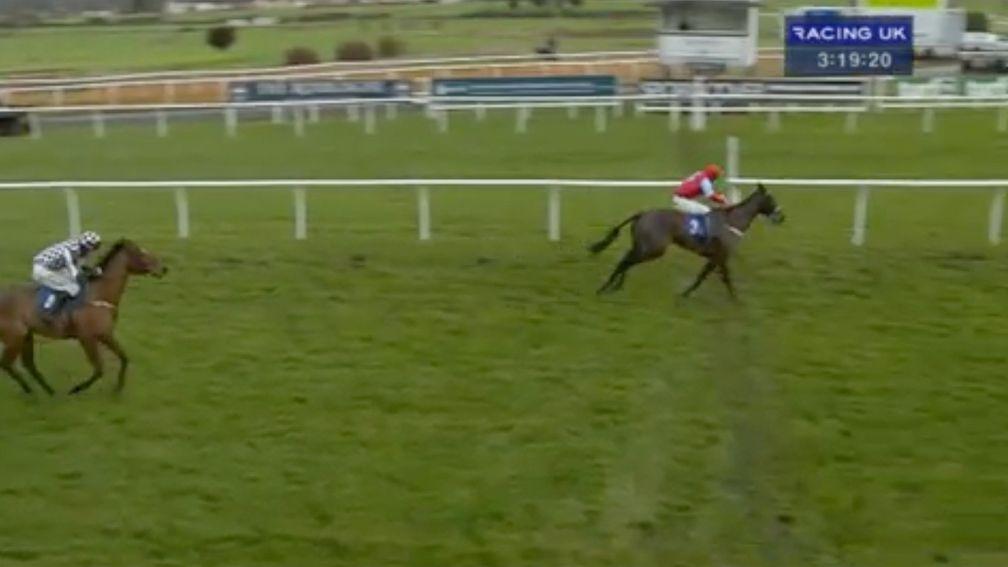 Medicine Hat passes the winning line five lengths in front of the wayward Scrafton in a dramatic conclusion to the juvenile hurdle